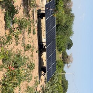 WhatsApp Image 2025-11-15 at 15.00.56