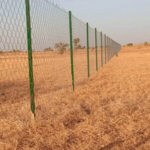 WhatsApp Image 2025-11-15 at 15.00.57