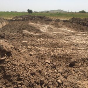 WhatsApp Image 2025-11-23 at 17.16.27 (1)